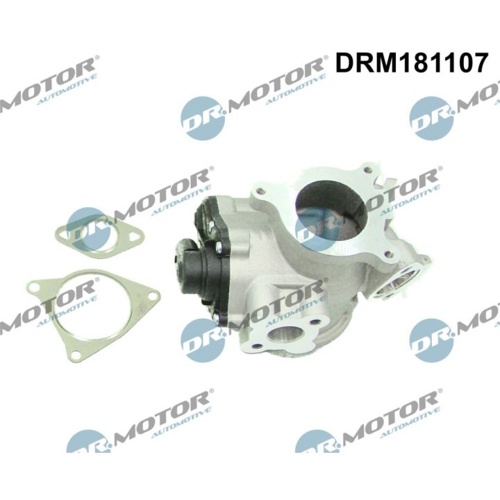 ERG vožtuvas Dr.Motor Automotive DRM181107