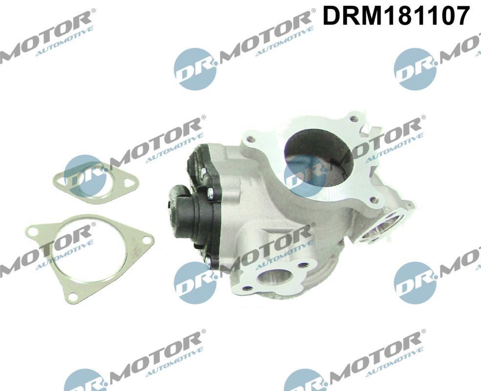ERG vožtuvas Dr.Motor Automotive DRM181107
