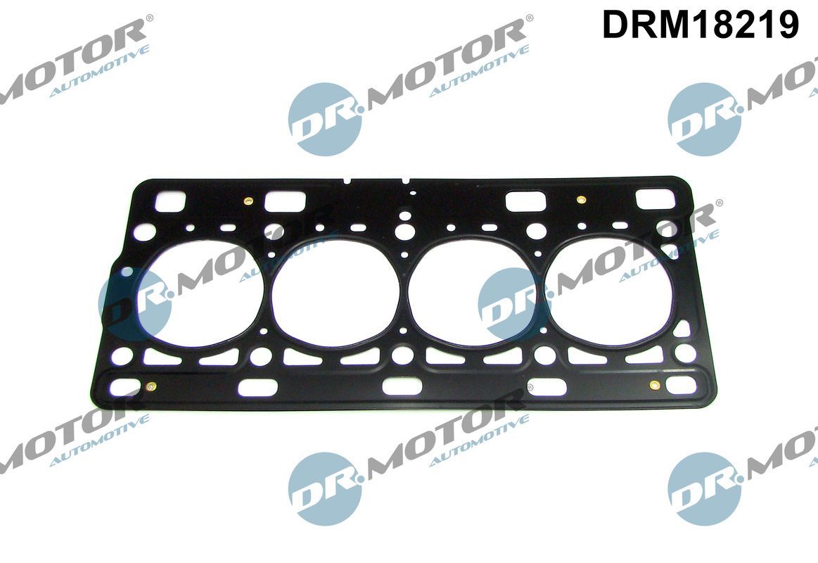 Tarpiklis, cilindro galva Dr.Motor Automotive DRM18219