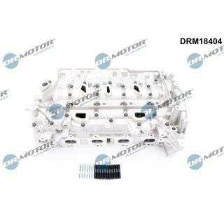 Cilindro galvutė Dr.Motor Automotive DRM18404