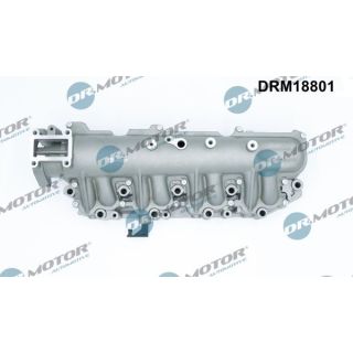 įsiurbimo kolektoriaus modulis Dr.Motor Automotive DRM18801