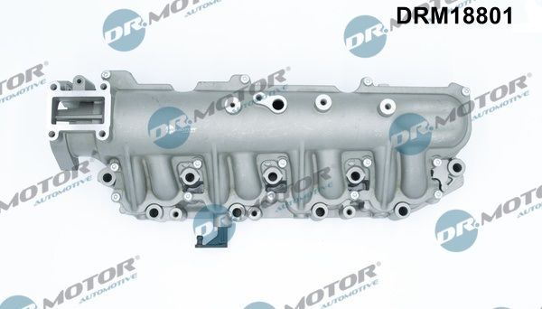 įsiurbimo kolektoriaus modulis Dr.Motor Automotive DRM18801