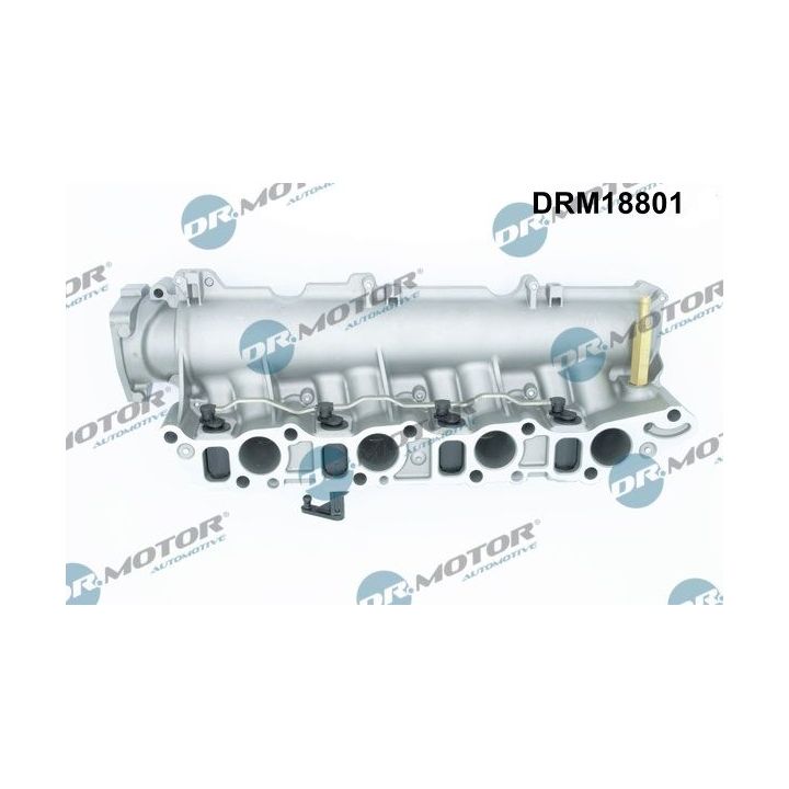 įsiurbimo kolektoriaus modulis Dr.Motor Automotive DRM18801