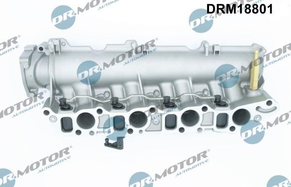 įsiurbimo kolektoriaus modulis Dr.Motor Automotive DRM18801