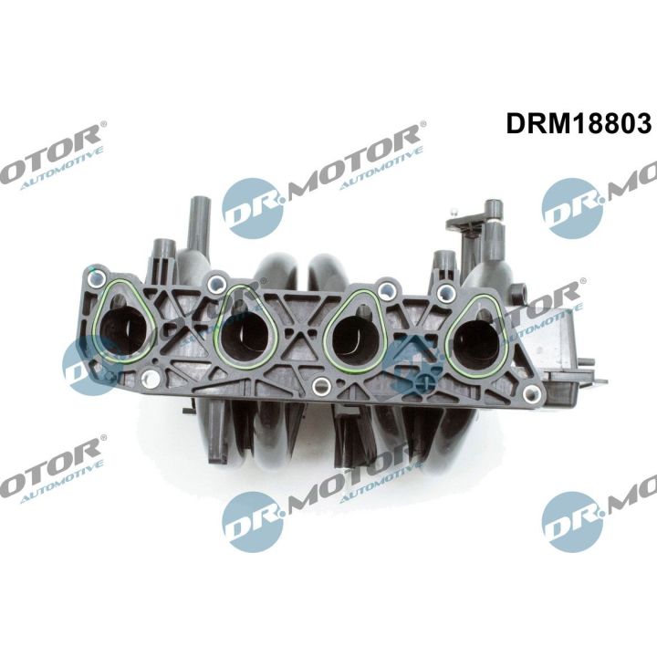 įsiurbimo kolektoriaus modulis Dr.Motor Automotive DRM18803