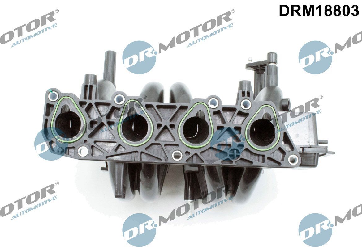 įsiurbimo kolektoriaus modulis Dr.Motor Automotive DRM18803