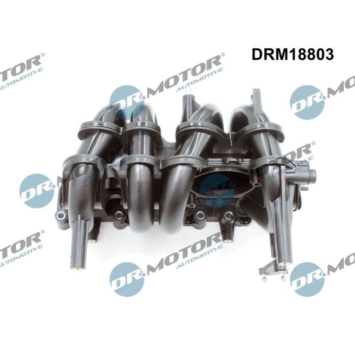 įsiurbimo kolektoriaus modulis Dr.Motor Automotive DRM18803
