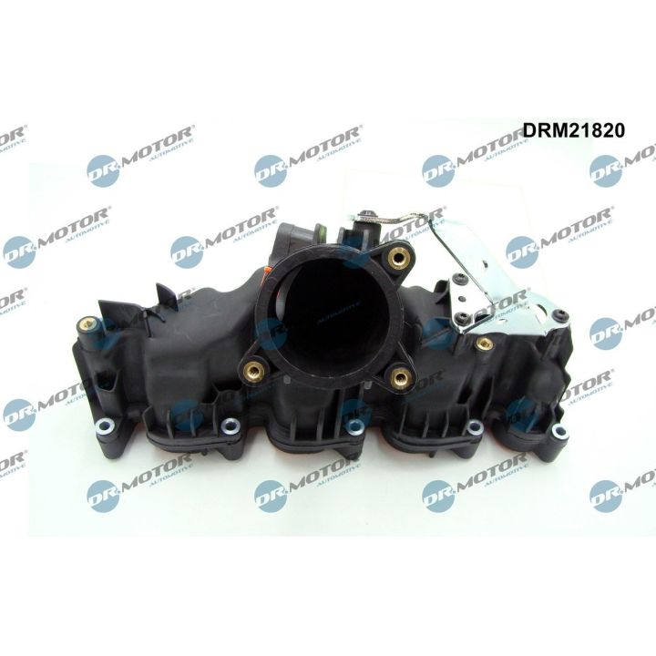 įsiurbimo kolektoriaus modulis Dr.Motor Automotive DRM21820