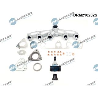 Kolektorius, išmetimo sistema Dr.Motor Automotive DRM218202S