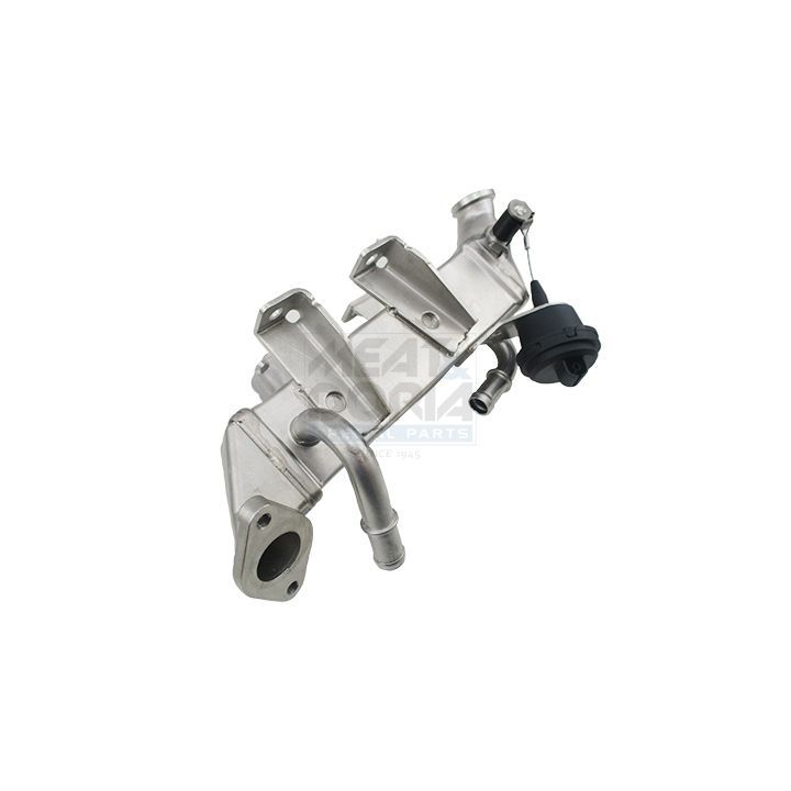 Aušintuvas, išmetamųjų dujų recirkuliacija MEAT & DORIA 88837