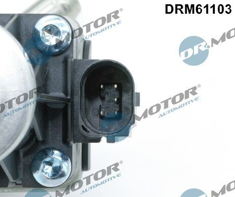 ERG vožtuvas Dr.Motor Automotive DRM61103