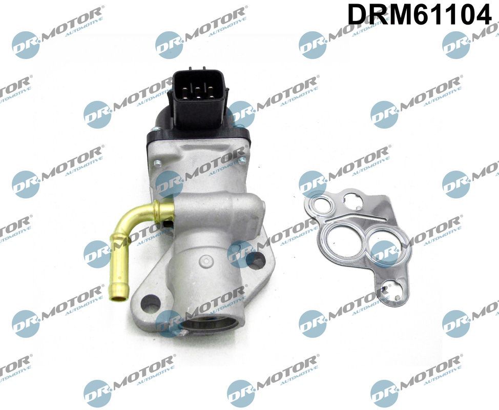 ERG vožtuvas Dr.Motor Automotive DRM61104