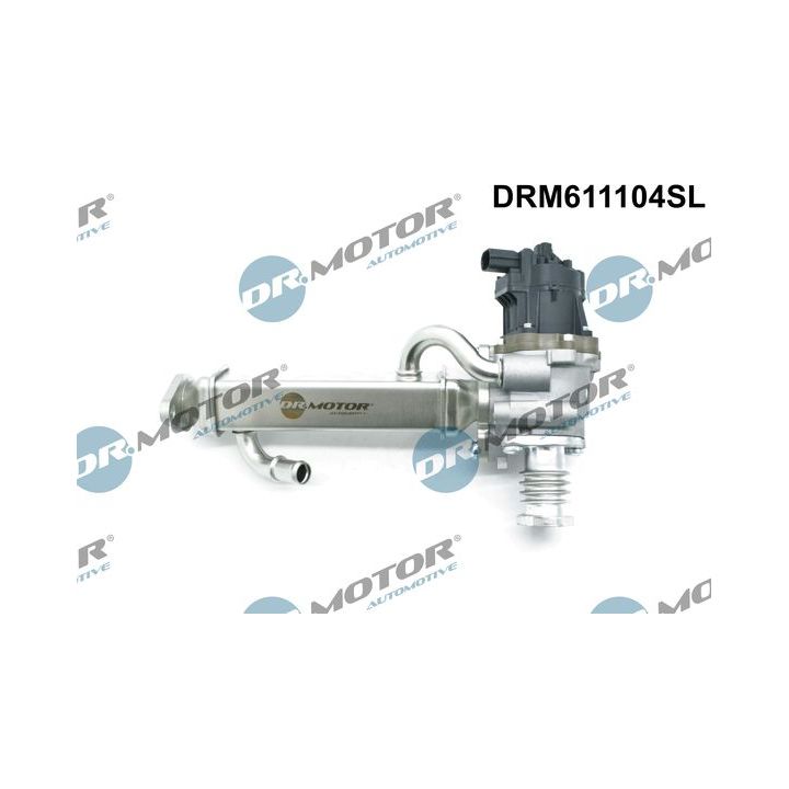 ERG vožtuvas Dr.Motor Automotive DRM611104SL