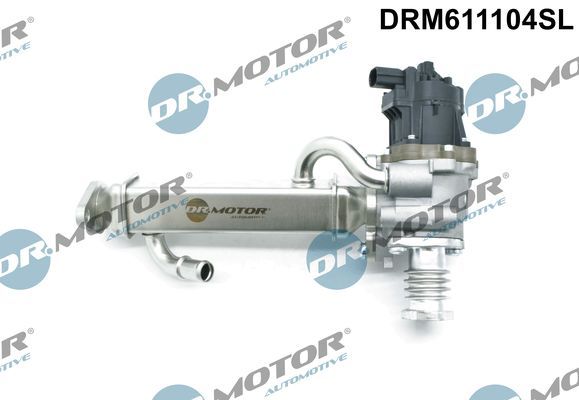 ERG vožtuvas Dr.Motor Automotive DRM611104SL