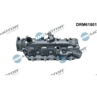 įsiurbimo kolektoriaus modulis Dr.Motor Automotive DRM61801