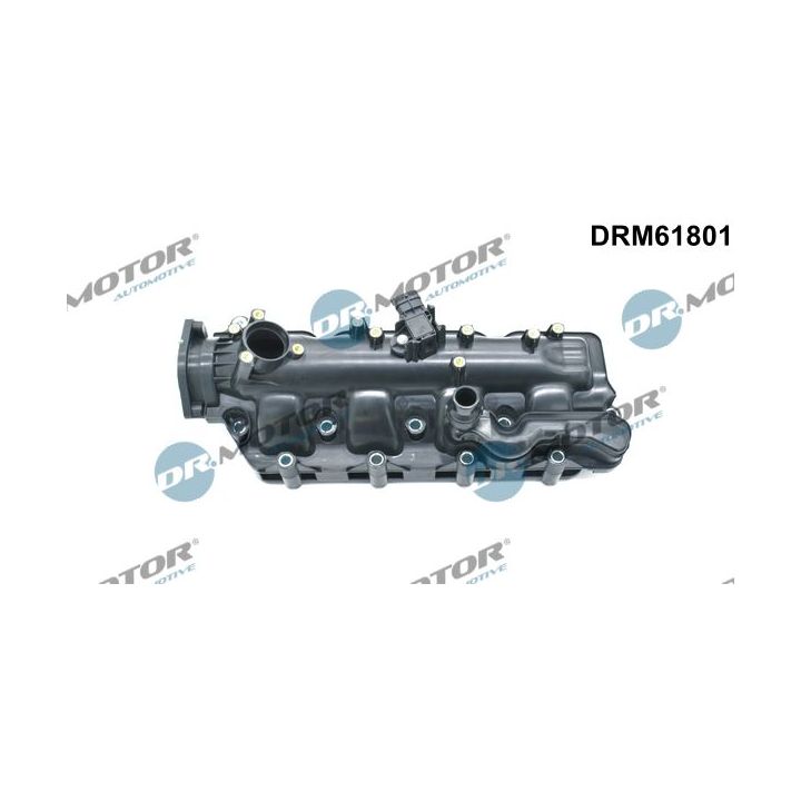 įsiurbimo kolektoriaus modulis Dr.Motor Automotive DRM61801