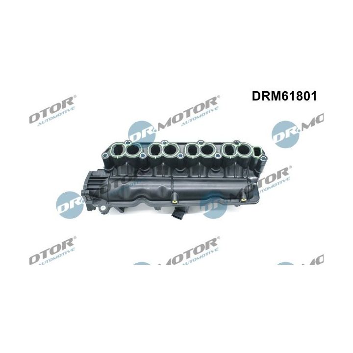 įsiurbimo kolektoriaus modulis Dr.Motor Automotive DRM61801