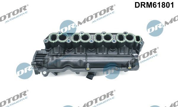 įsiurbimo kolektoriaus modulis Dr.Motor Automotive DRM61801