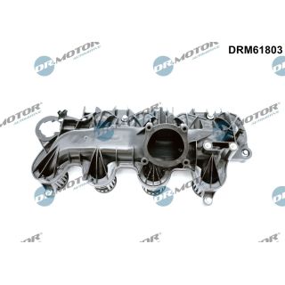 įsiurbimo kolektoriaus modulis Dr.Motor Automotive DRM61803