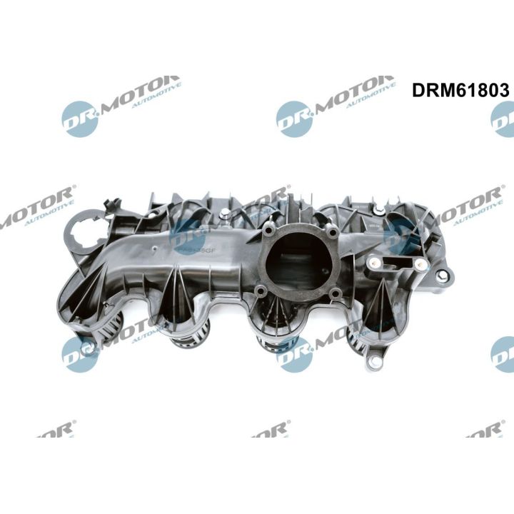 įsiurbimo kolektoriaus modulis Dr.Motor Automotive DRM61803