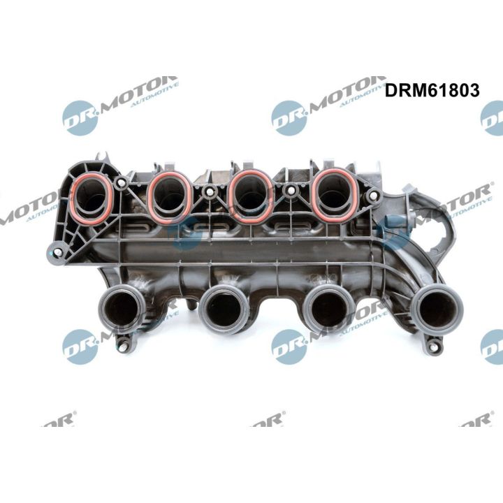 įsiurbimo kolektoriaus modulis Dr.Motor Automotive DRM61803
