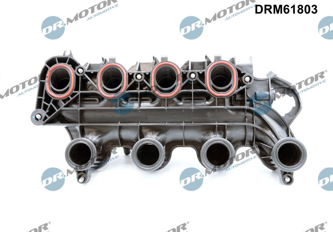 įsiurbimo kolektoriaus modulis Dr.Motor Automotive DRM61803