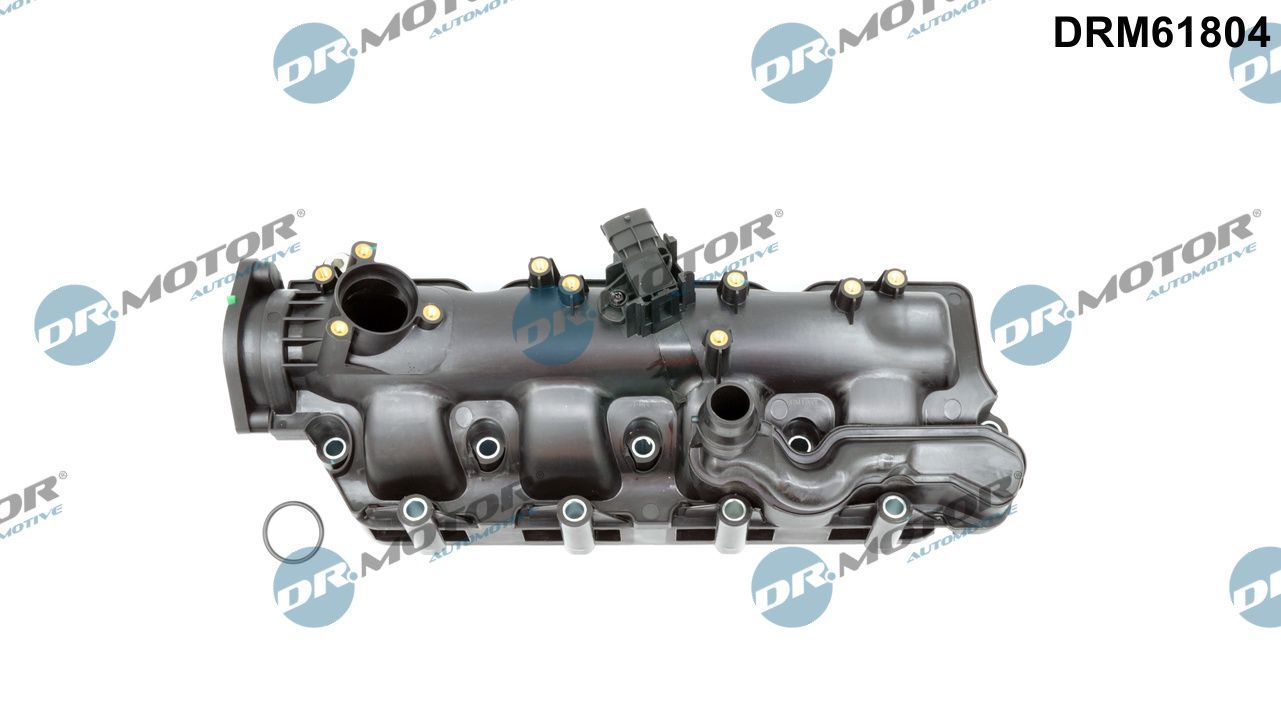 įsiurbimo kolektoriaus modulis Dr.Motor Automotive DRM61804