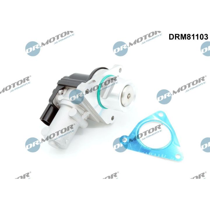 ERG vožtuvas Dr.Motor Automotive DRM81103