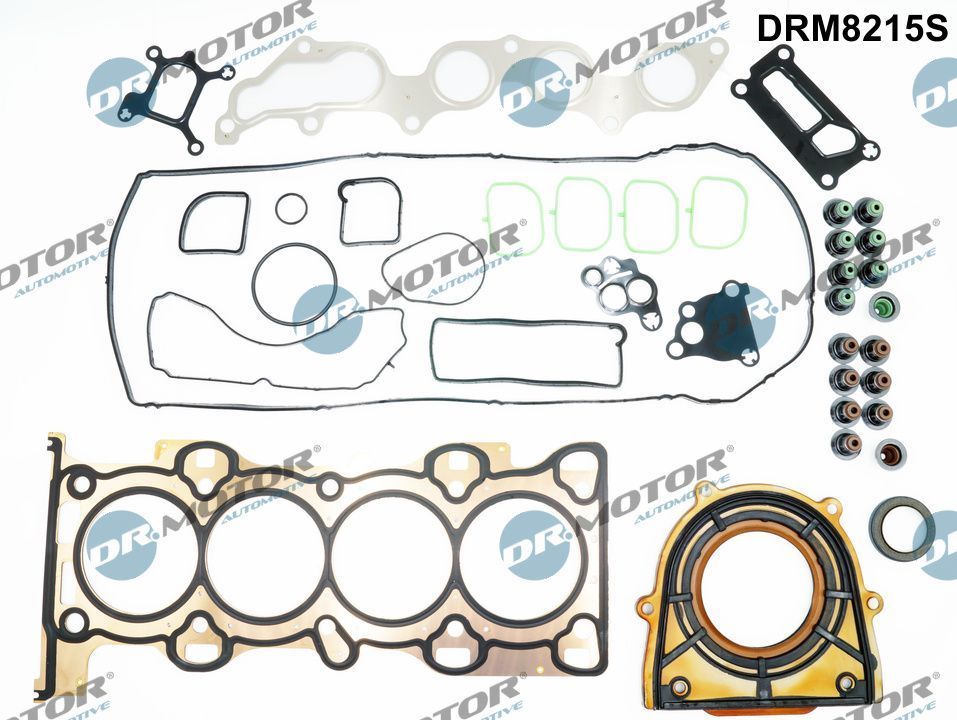 Visas tarpiklių komplektas, variklis Dr.Motor Automotive DRM8215S