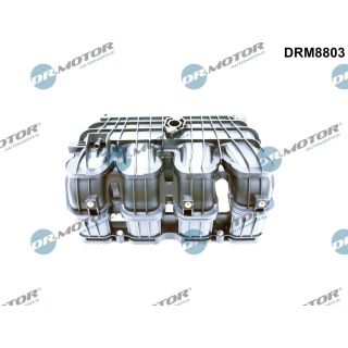 įsiurbimo kolektoriaus modulis Dr.Motor Automotive DRM8803