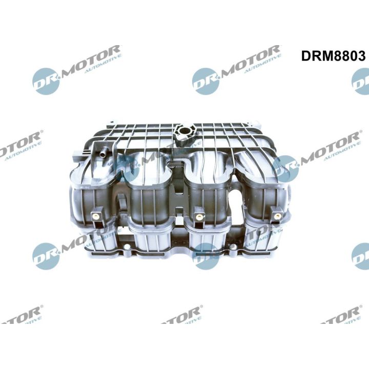 įsiurbimo kolektoriaus modulis Dr.Motor Automotive DRM8803