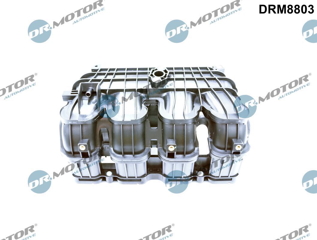 įsiurbimo kolektoriaus modulis Dr.Motor Automotive DRM8803