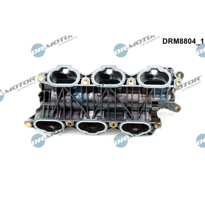 įsiurbimo kolektoriaus modulis Dr.Motor Automotive DRM8804