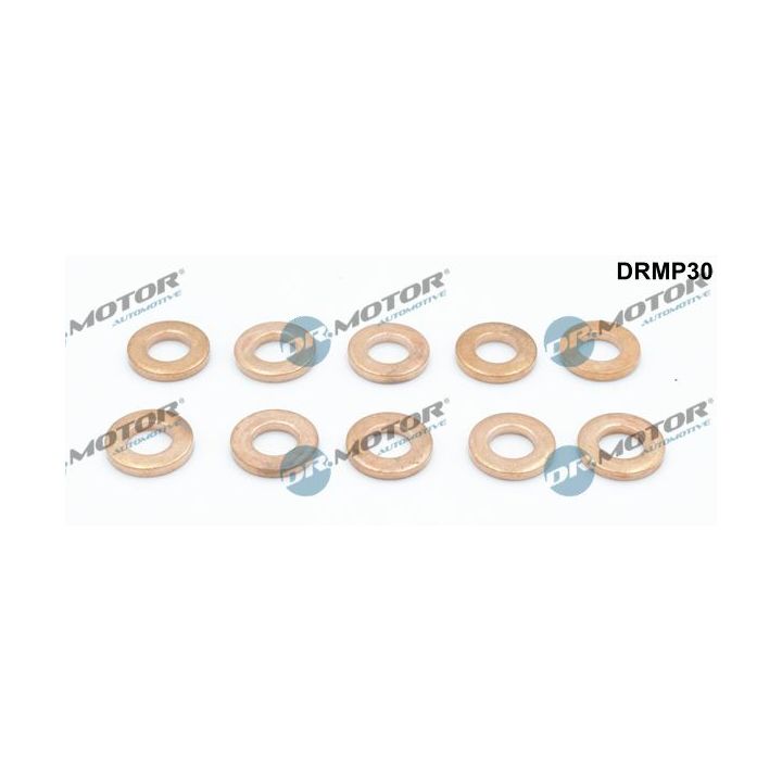 šiluminis ekranas, įpurškimo sistema Dr.Motor Automotive DRMP30