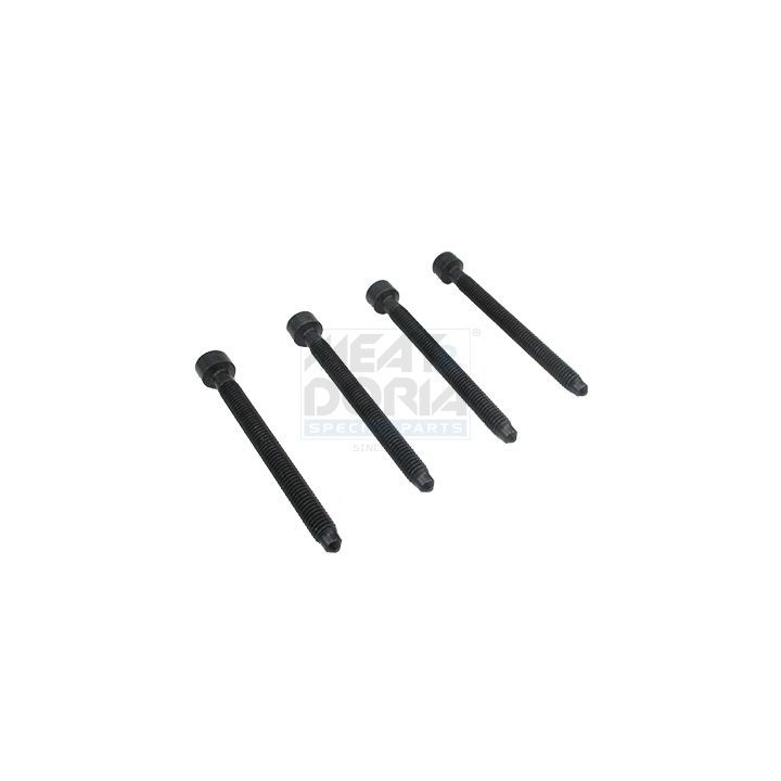 Reguliavimo varžtas, įpurškimo siurblys MEAT & DORIA 98093