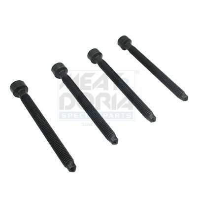 Reguliavimo varžtas, įpurškimo siurblys MEAT & DORIA 98093