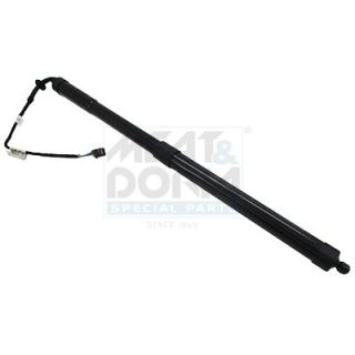 Dujinė spyruoklė, lentyna (bagažinės dangtis) MEAT & DORIA 301026