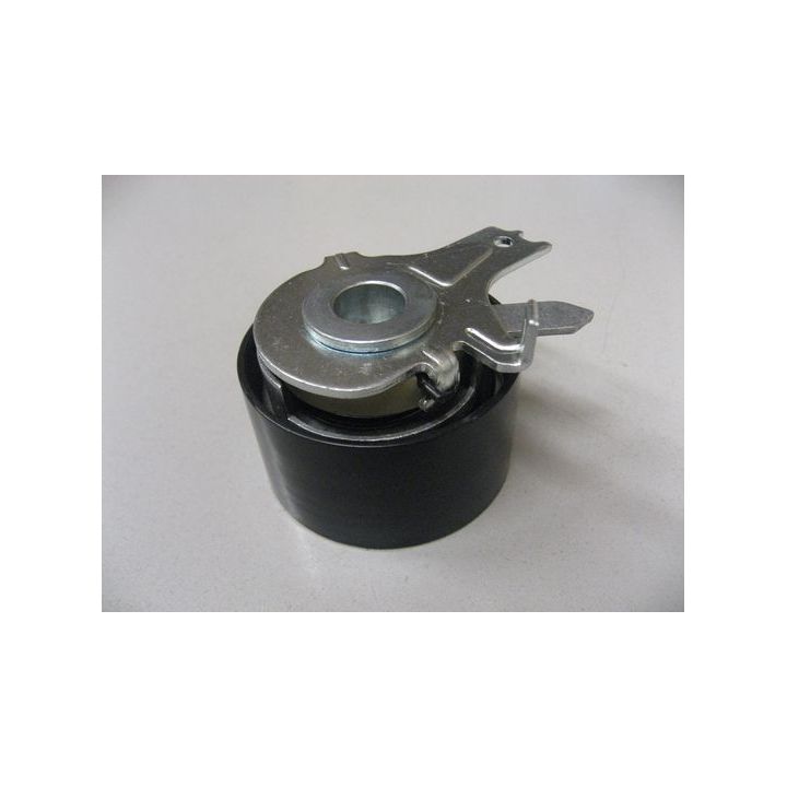 įtempiklio skriemulys, paskirstymo diržas CORAM C875