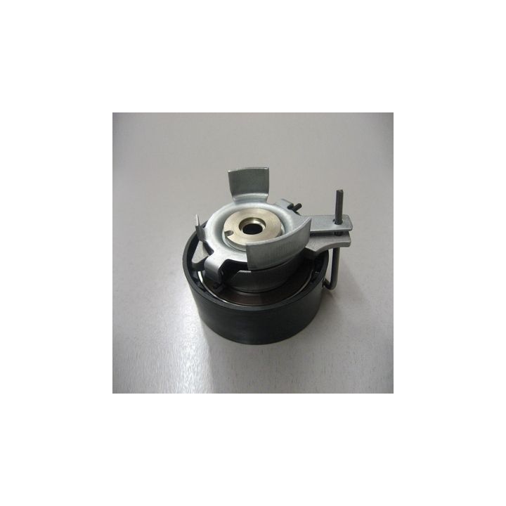 įtempiklio skriemulys, paskirstymo diržas CORAM C886