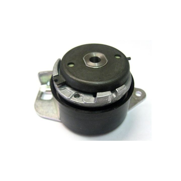 įtempiklio skriemulys, paskirstymo diržas CORAM C922