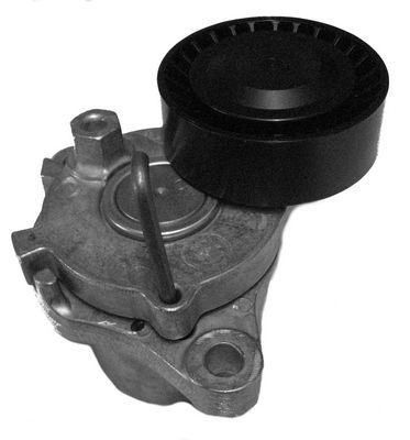 Diržo įtempiklis, V formos rumbuotas diržas CORAM C996