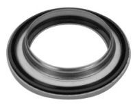 Frikcinis guolis, pakabos statramsčio atramos montavimas CORAM CA009