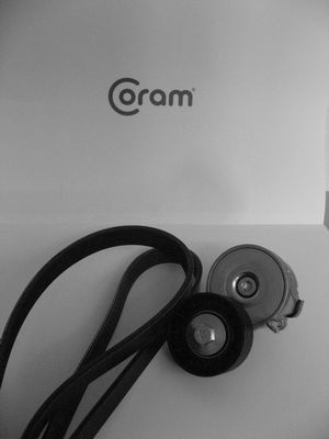 V formos rumbuotas diržas, komplektas CORAM KTC987.8022