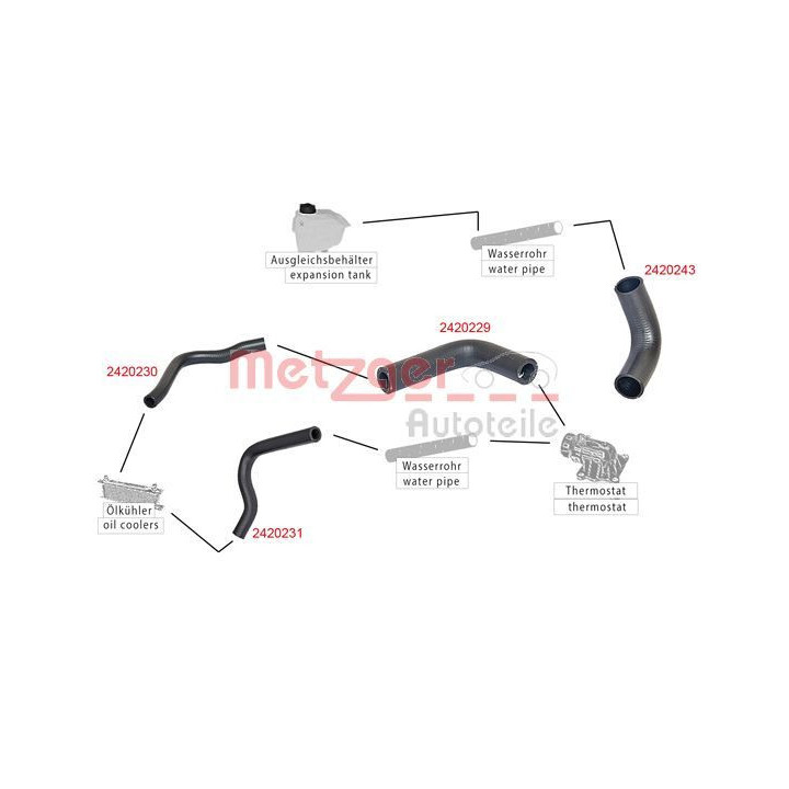 Radiatoriaus žarna METZGER 2420231