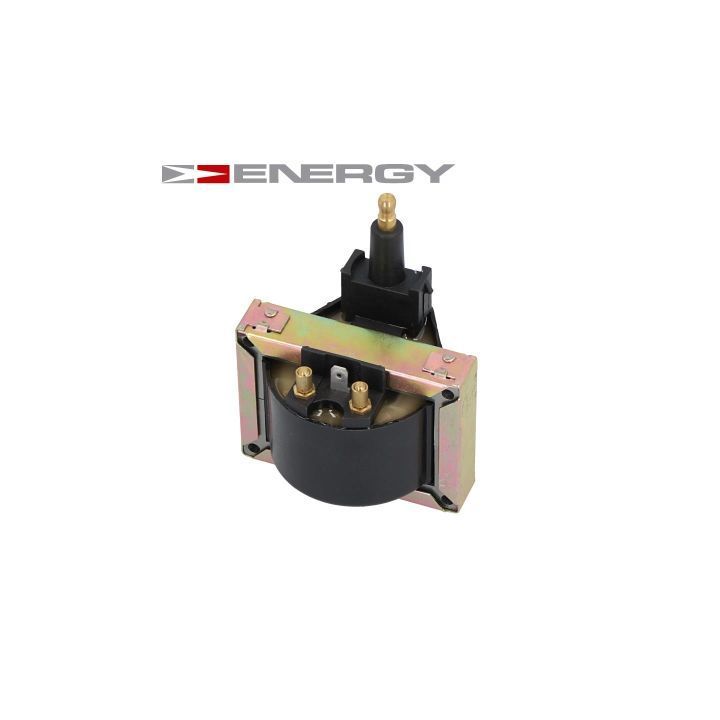 Ritė, uždegimas ENERGY CZ0033