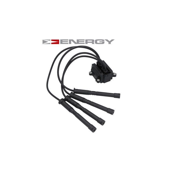 Ritė, uždegimas ENERGY CZ0037