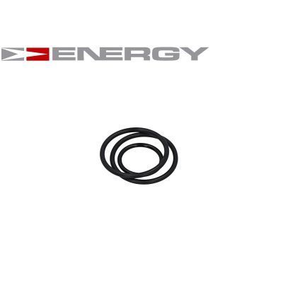 Kuro siurblys ENERGY G10029