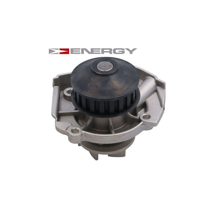 Vandens siurblys, variklio aušinimas ENERGY GPW1236