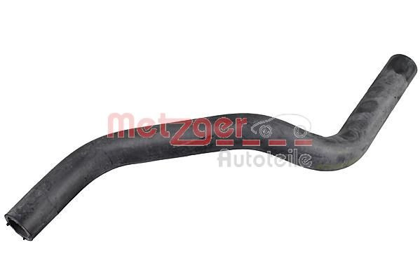 šildytuvo žarnelė METZGER 2421247