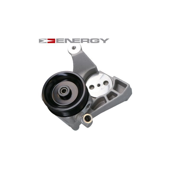 Hidraulinis siurblys, vairo sistema ENERGY PW690149